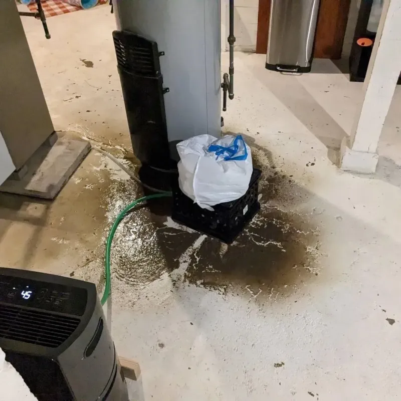 Sewage Backup Cleanup Service in Jewell, IA